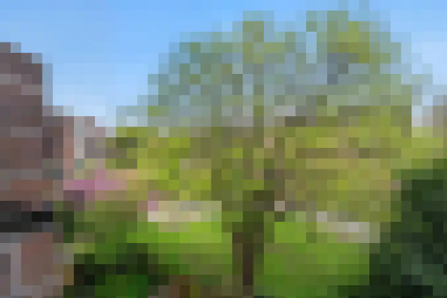 Leusdenhof 307 Amsterdam thumbnail 26