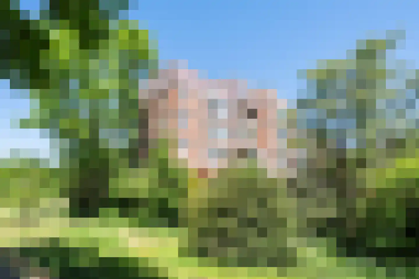 Leusdenhof 326 Amsterdam thumbnail 31