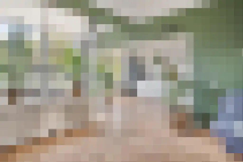 Leusdenhof 34 Amsterdam thumbnail 4