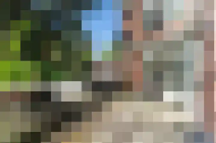 Leusdenhof 366 Amsterdam thumbnail 29