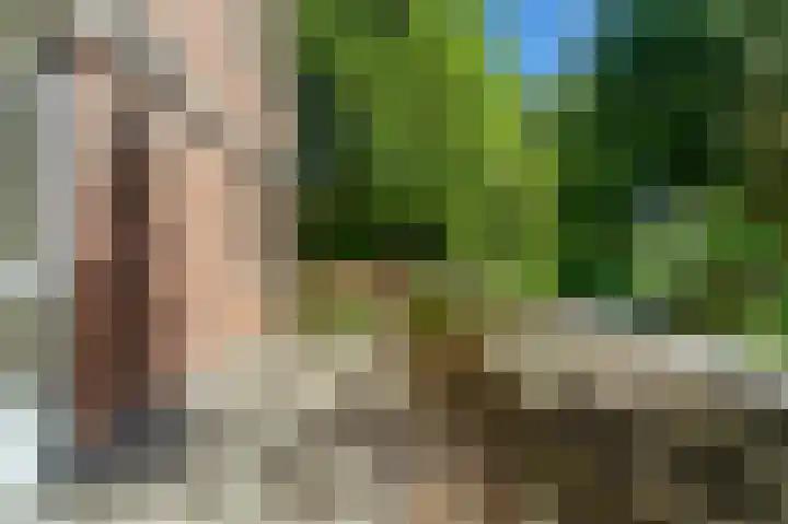 Leusdenhof 366 Amsterdam thumbnail 4