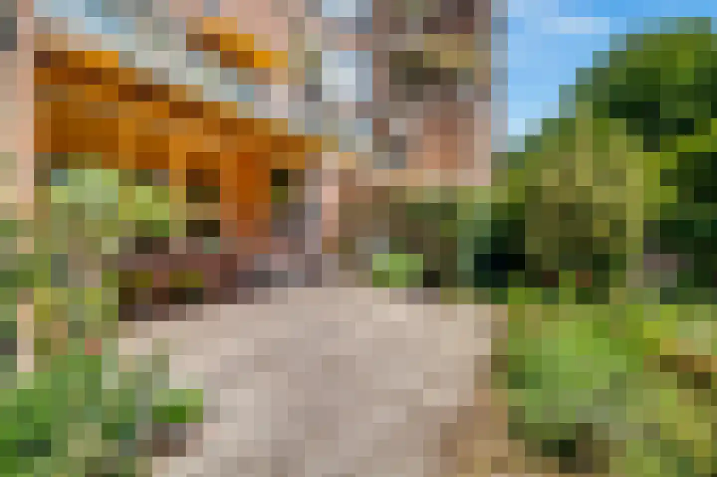 Leusdenhof 395 Amsterdam thumbnail 41