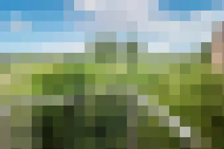 Leusdenhof 44 Amsterdam thumbnail 16