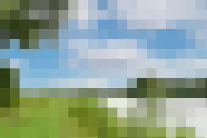 Leusdenhof 44 Amsterdam thumbnail 22