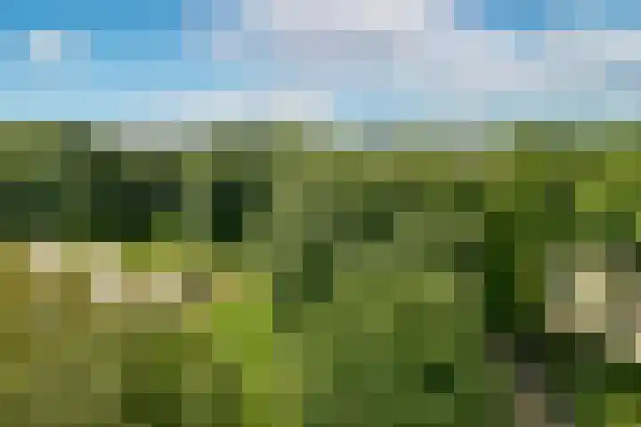 Leusdenhof 44 Amsterdam thumbnail 4