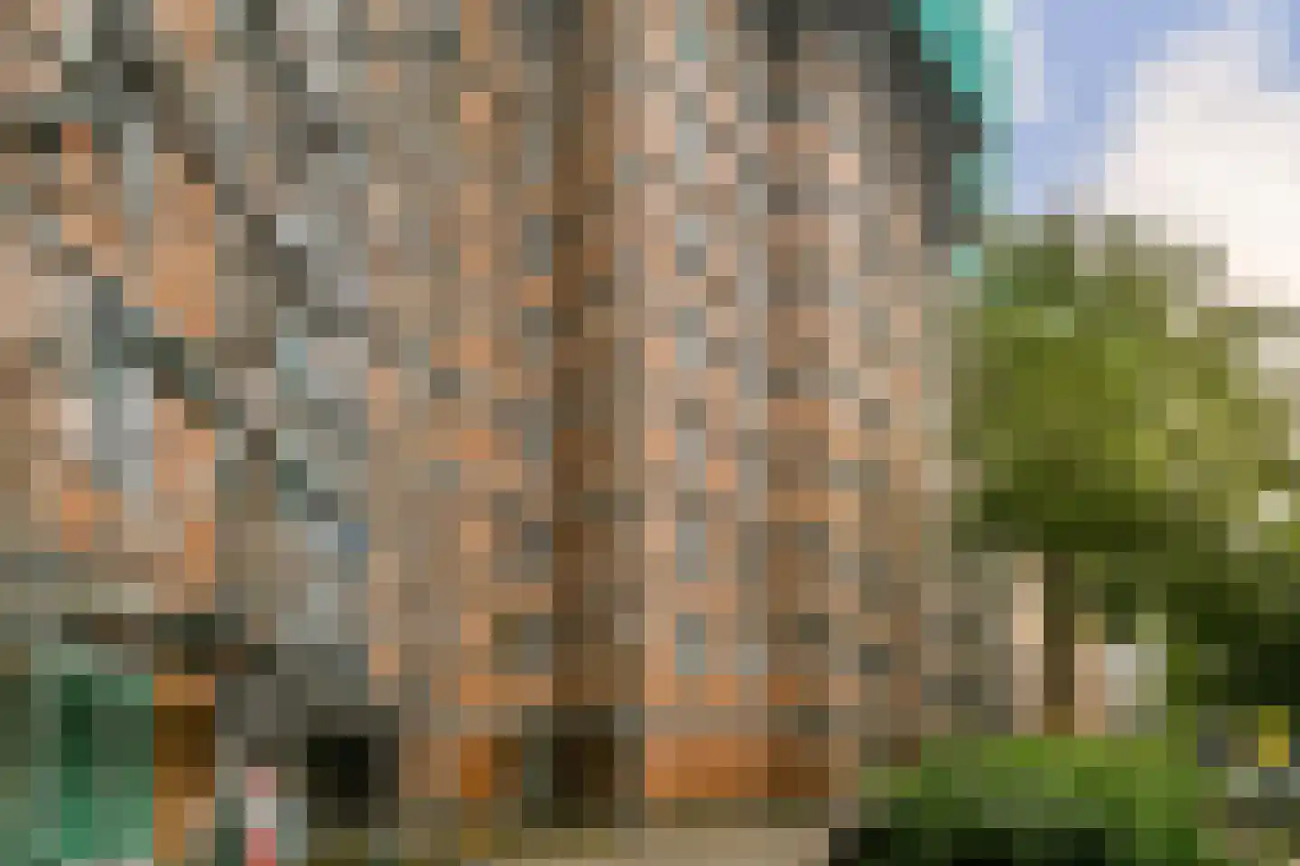 Leusdenhof 48 Amsterdam thumbnail 18