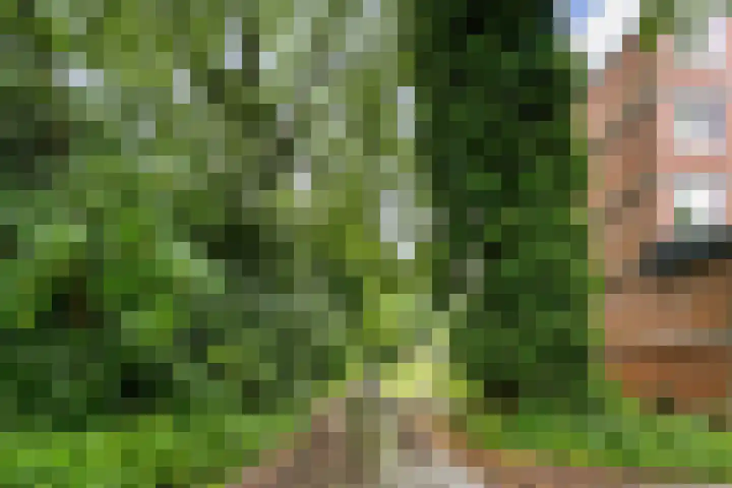Leusdenhof 48 Amsterdam thumbnail 4