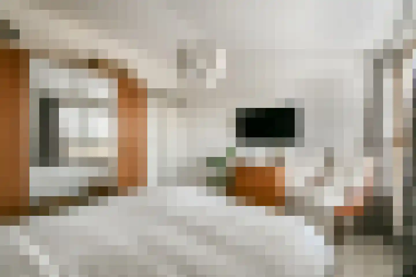 Leusdenhof 80 Amsterdam thumbnail 9