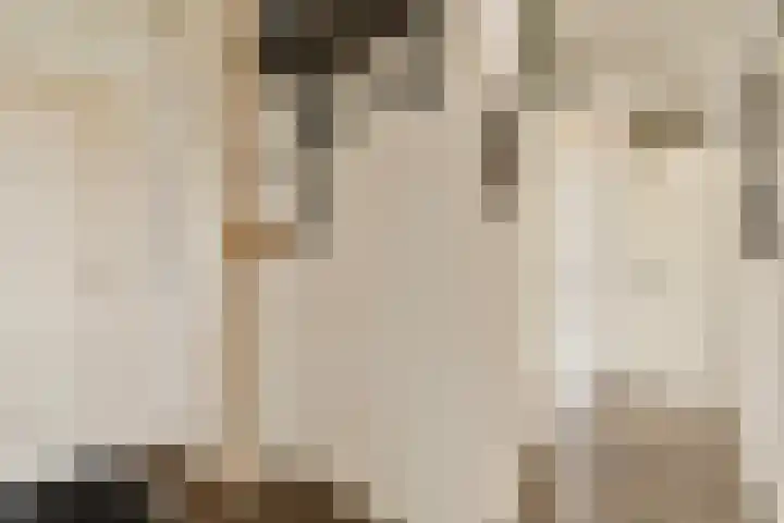 Leusdenhof 82 Amsterdam thumbnail 7
