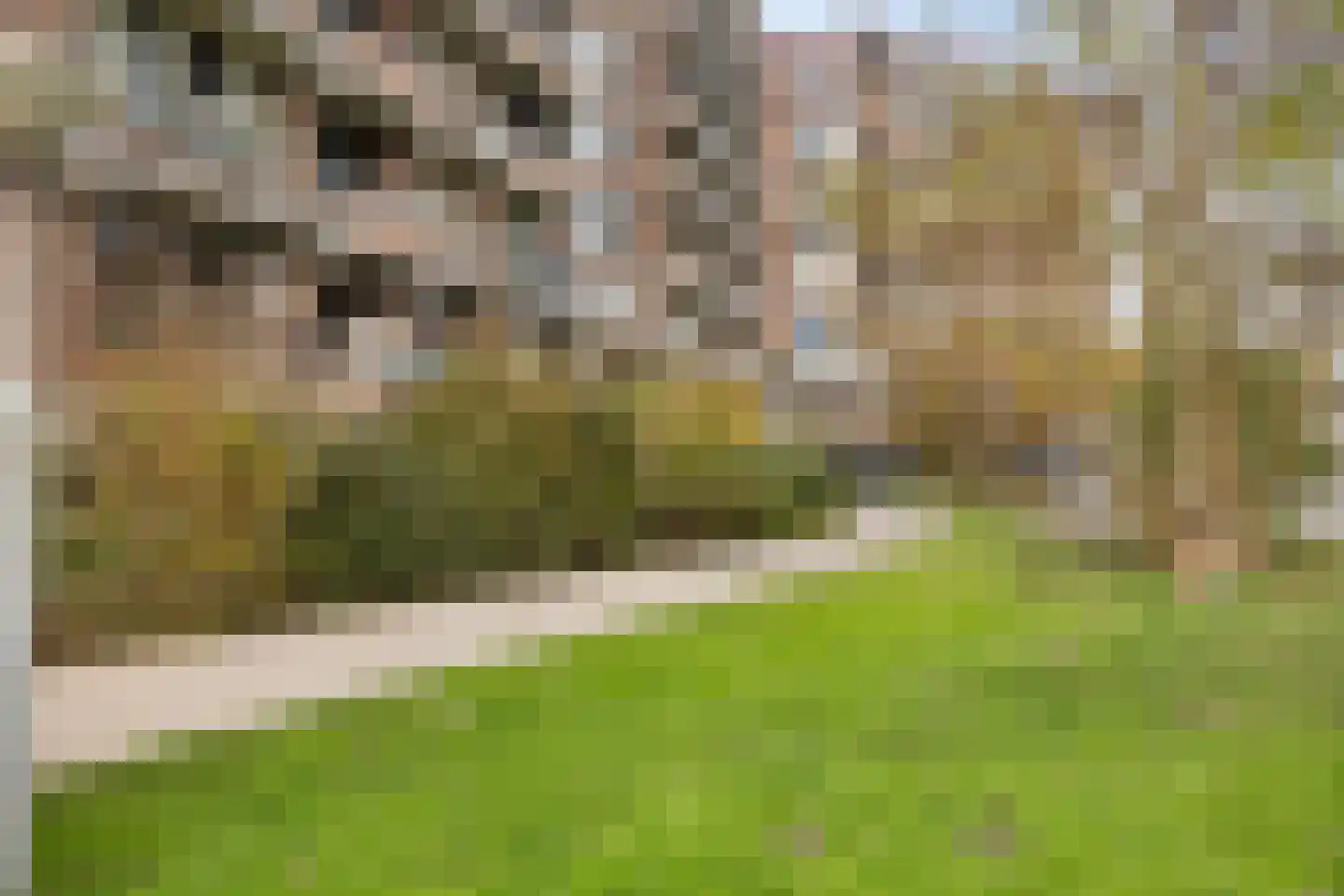 Leusdenhof 88 Amsterdam thumbnail 27