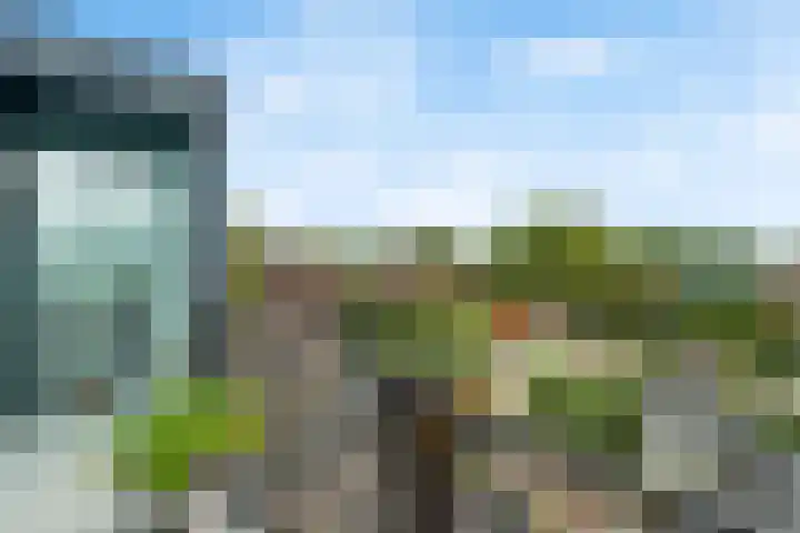 Leusderweg 224 E Amersfoort thumbnail 23