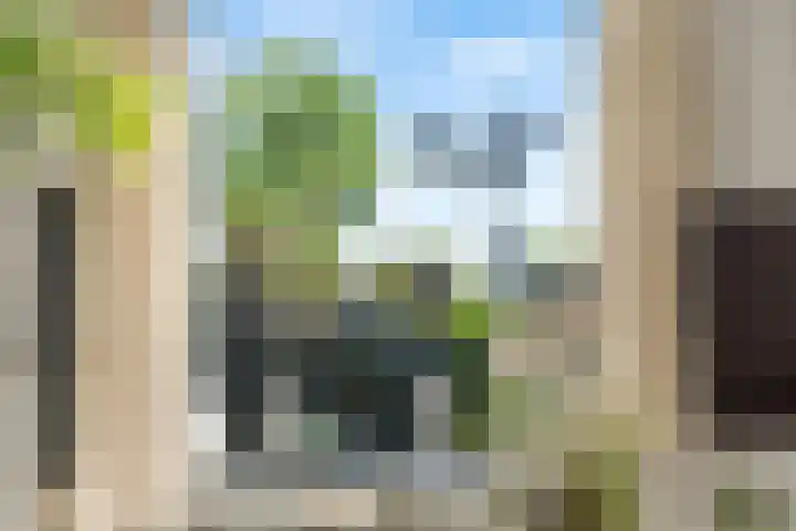 Leusderweg 224 E Amersfoort thumbnail 33