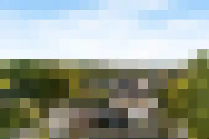 Leusderweg 224 E Amersfoort thumbnail 37