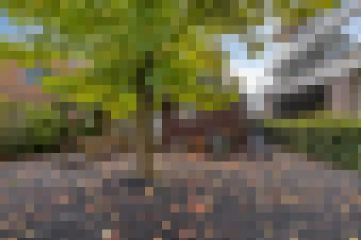 Leusderweg 24 V Amersfoort thumbnail 24
