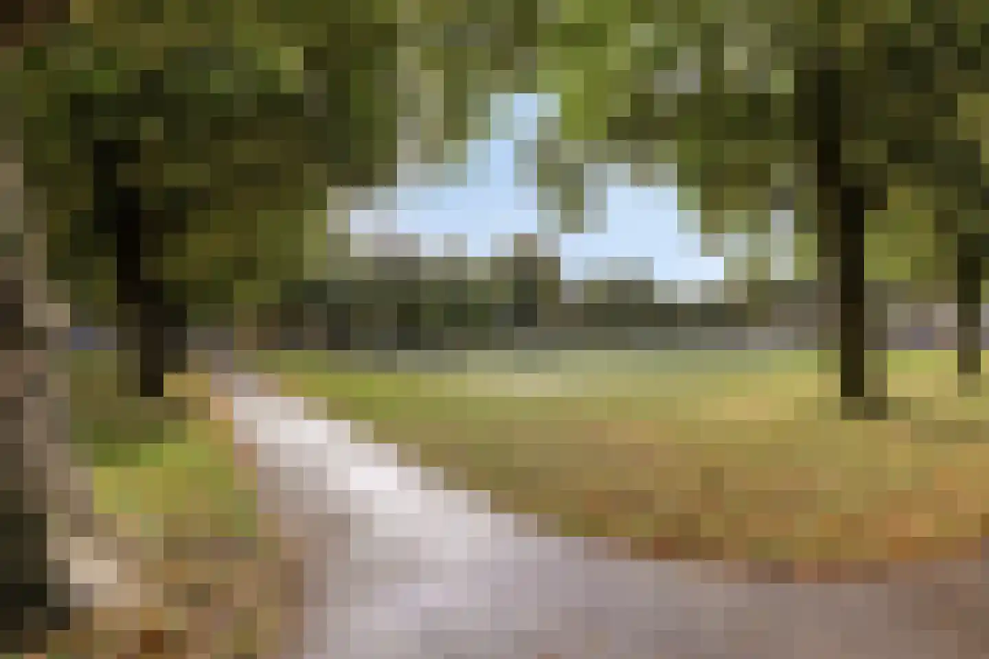Leusderweg 24 V Amersfoort thumbnail 26
