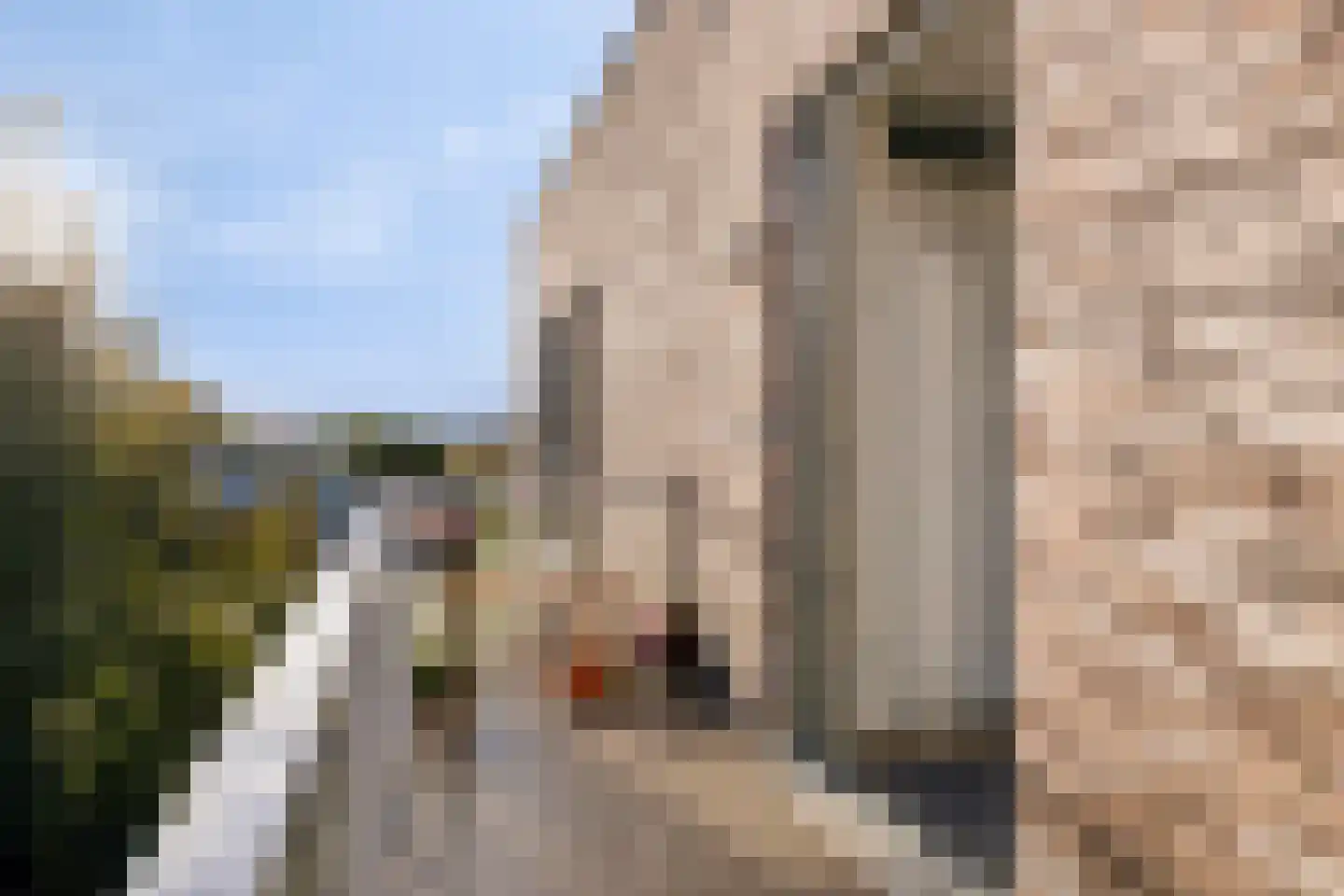 Leusderweg 24 V Amersfoort thumbnail 5