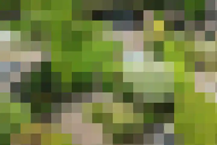 Leusderweg 265 Amersfoort thumbnail 37
