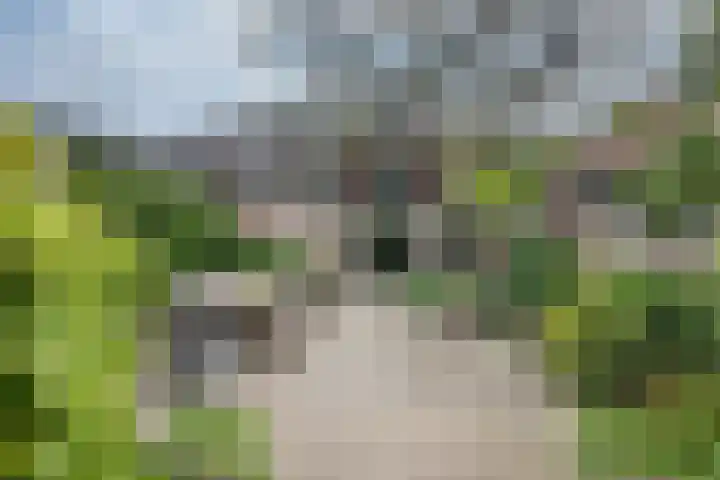 Leusderweg 265 Amersfoort thumbnail 4