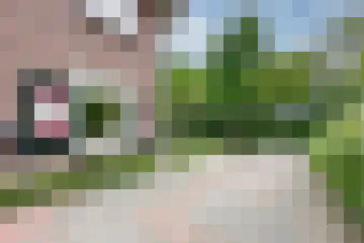 Leusderweg 265 Amersfoort thumbnail 42