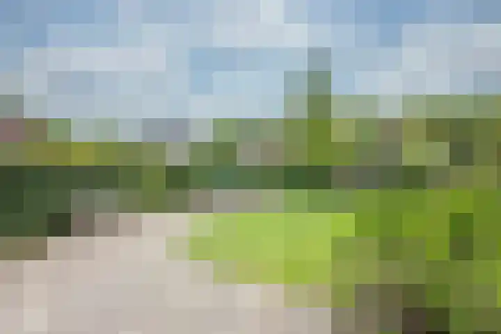 Leusderweg 265 Amersfoort thumbnail 46