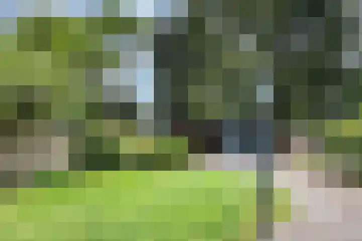 Leusderweg 265 Amersfoort thumbnail 48