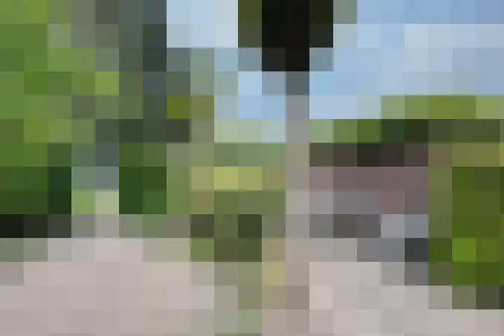 Leusderweg 265 Amersfoort thumbnail 52