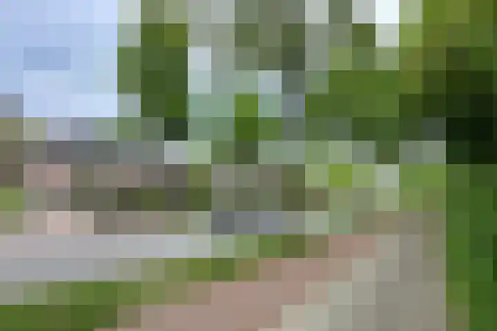 Leusderweg 265 Amersfoort thumbnail 63
