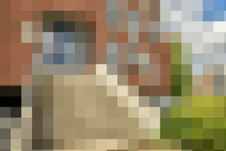 Leusderweg 43 D Amersfoort thumbnail 14