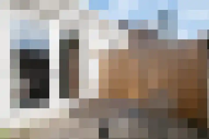 Leusderweg 66 Amersfoort thumbnail 23
