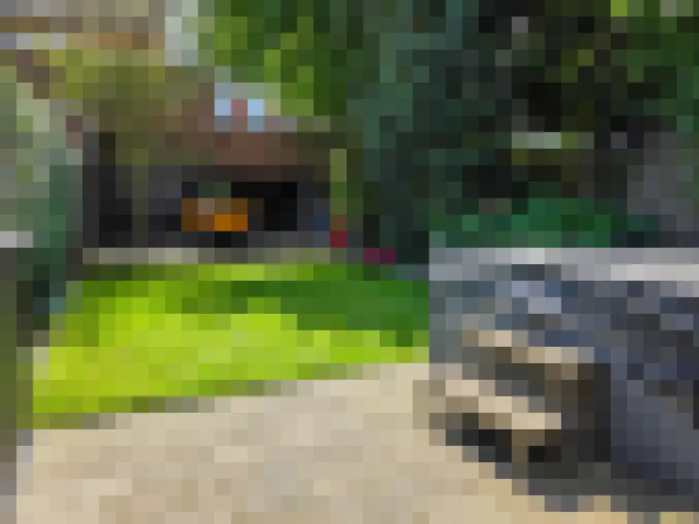 Leusveenweg 36 Hengelo thumbnail 68