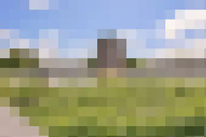 Leusveld 106 in Nieuw-Vennep