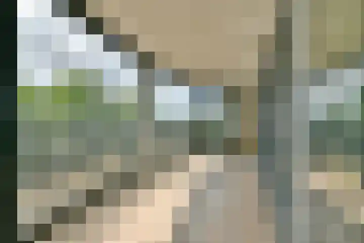 Leusveld 106 Nieuw-Vennep thumbnail 19