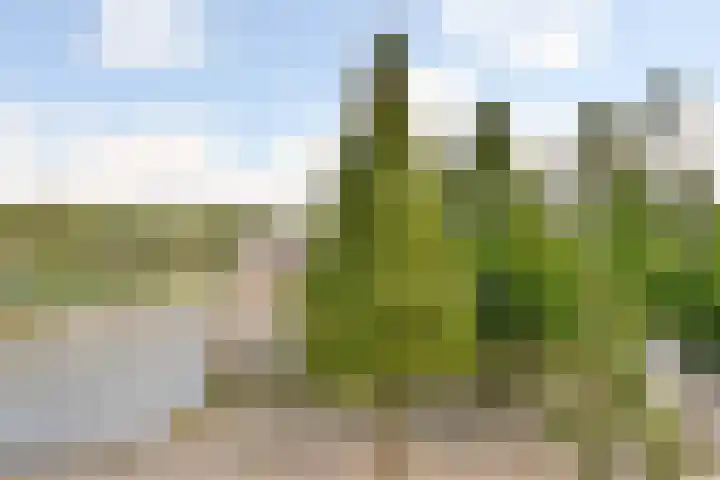 Leusveld 106 Nieuw-Vennep thumbnail 20