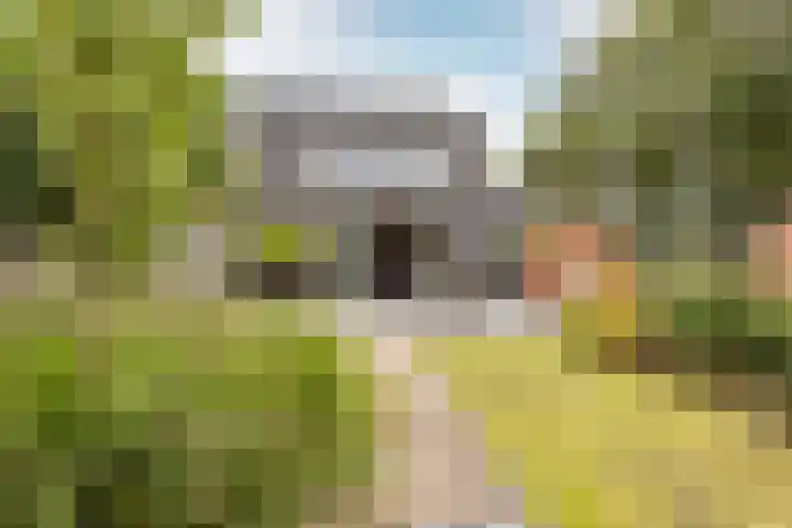 Leusveld 25 Nieuw-Vennep thumbnail 22