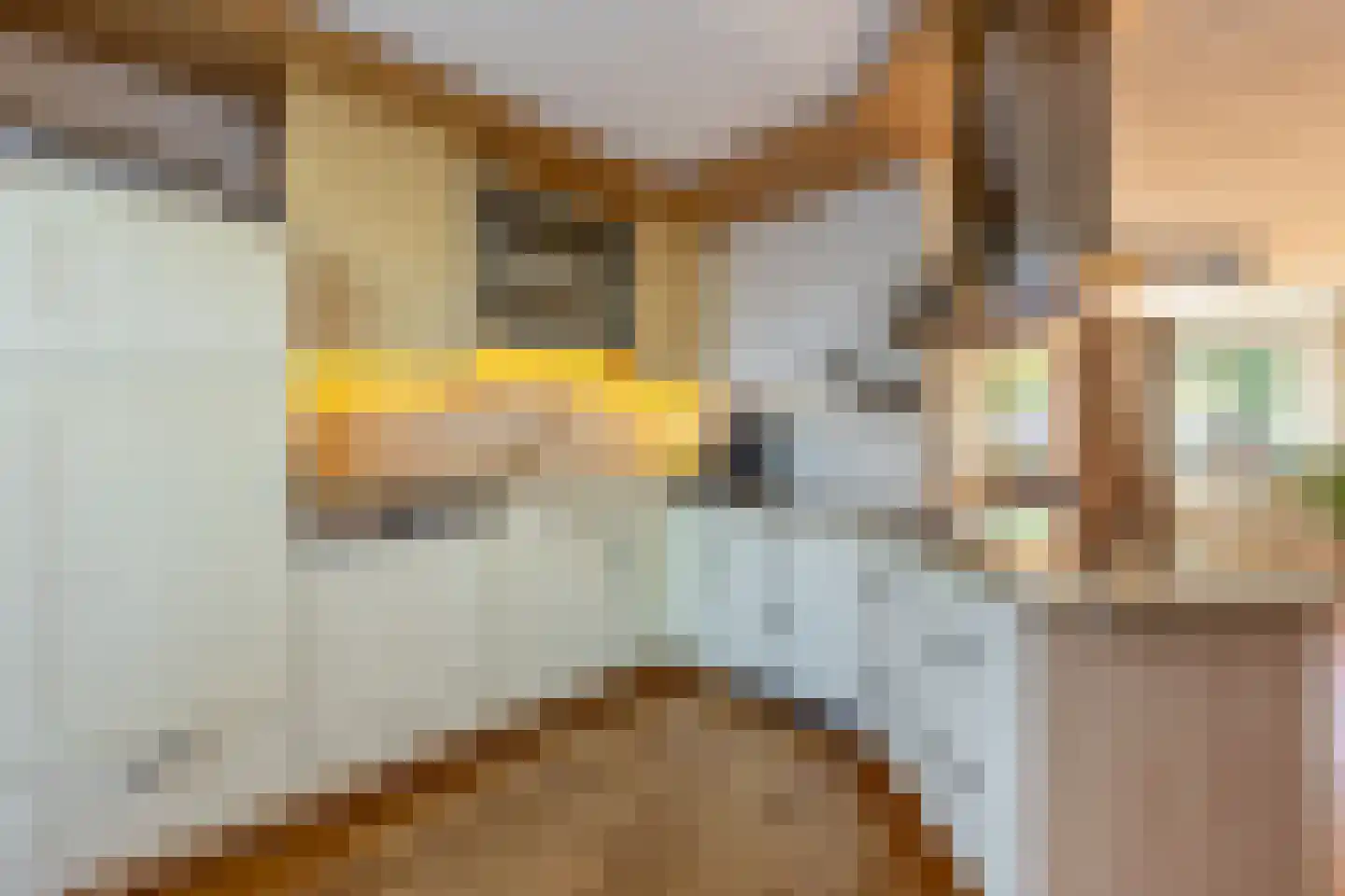 Leusveld 30 Nieuw-Vennep thumbnail 23