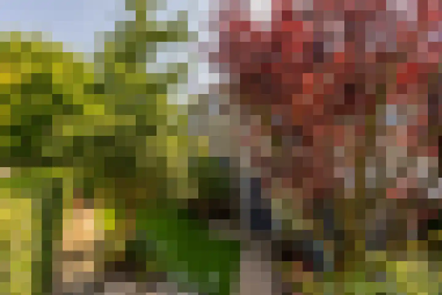 Leusveld 30 Nieuw-Vennep thumbnail 46