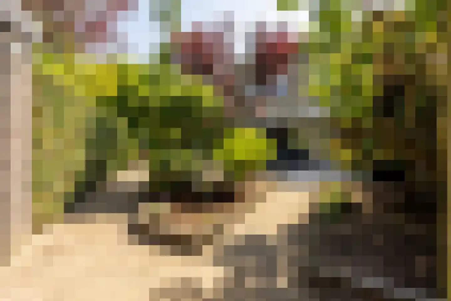 Leusveld 30 Nieuw-Vennep thumbnail 48
