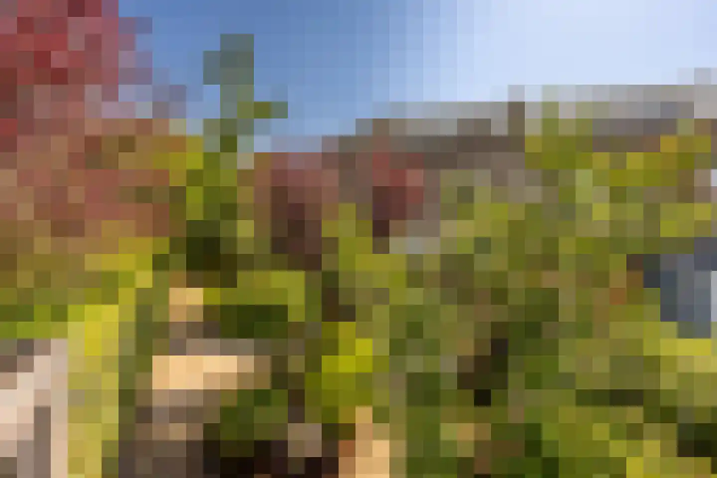 Leusveld 30 Nieuw-Vennep thumbnail 5