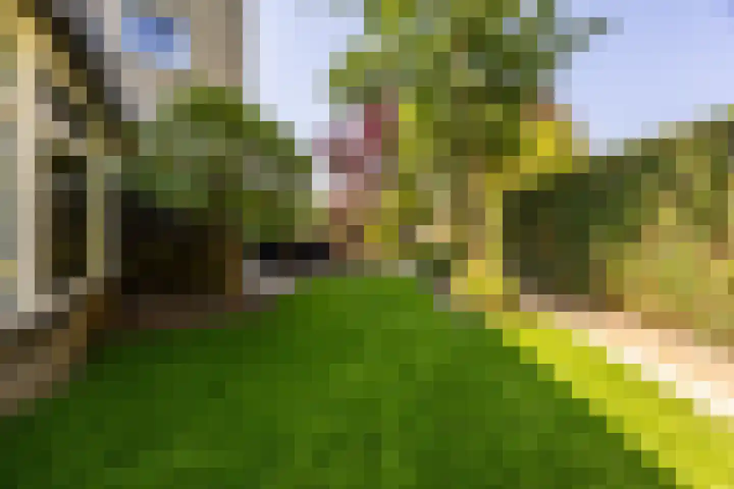 Leusveld 30 Nieuw-Vennep thumbnail 51
