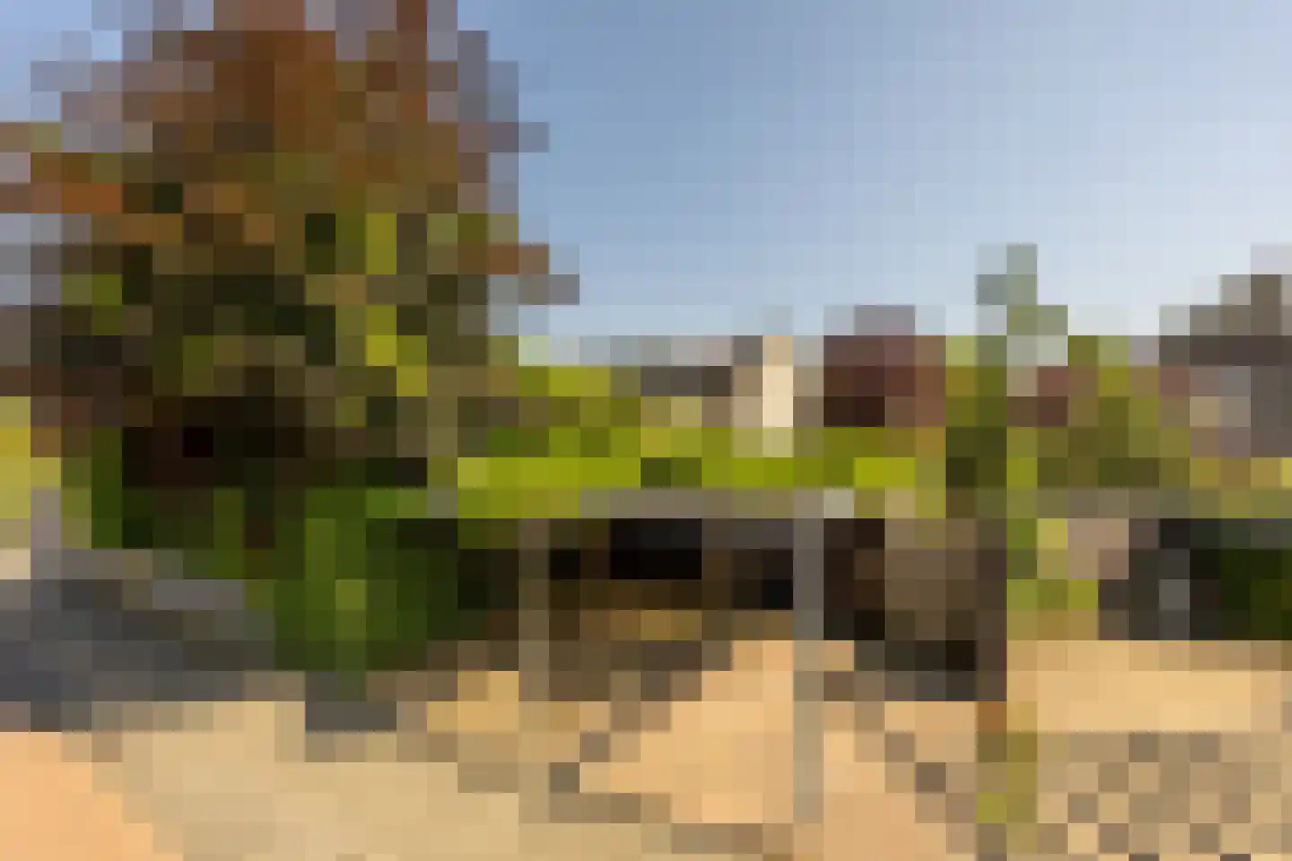 Leusveld 30 Nieuw-Vennep thumbnail 53