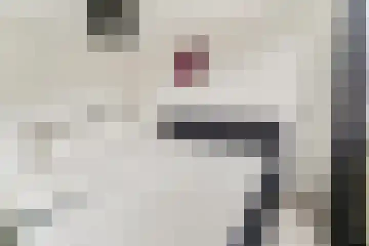 Leusveld 9 Ede thumbnail 13