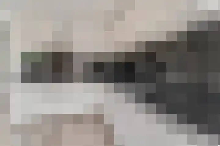 Leusveld 9 Ede thumbnail 6