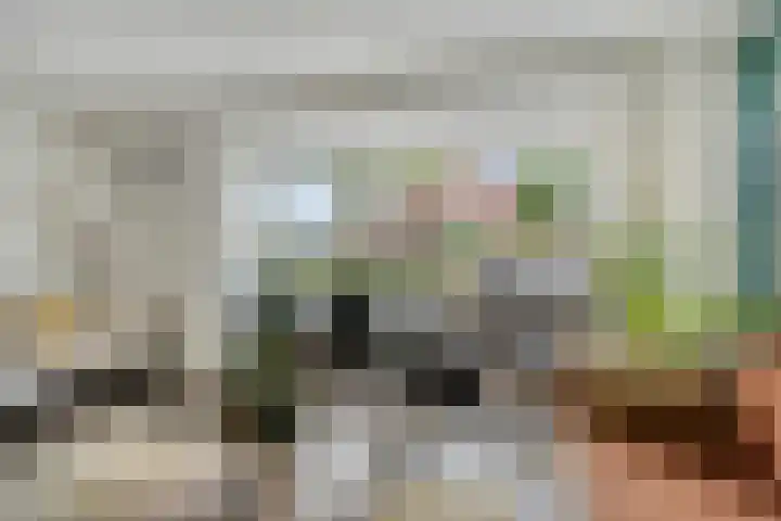 Leusveldweide 8 Helmond thumbnail 11