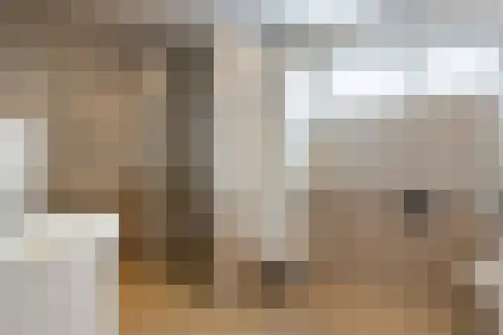 Leusveldweide 8 Helmond thumbnail 18