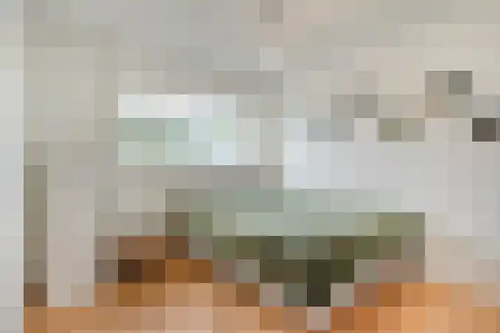 Leusveldweide 8 Helmond thumbnail 22