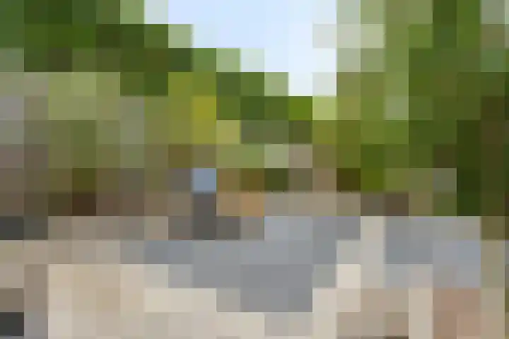 Leusveldweide 8 Helmond thumbnail 33