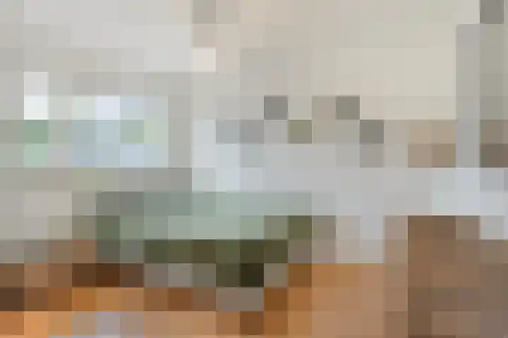 Leusveldweide 8 Helmond thumbnail 4