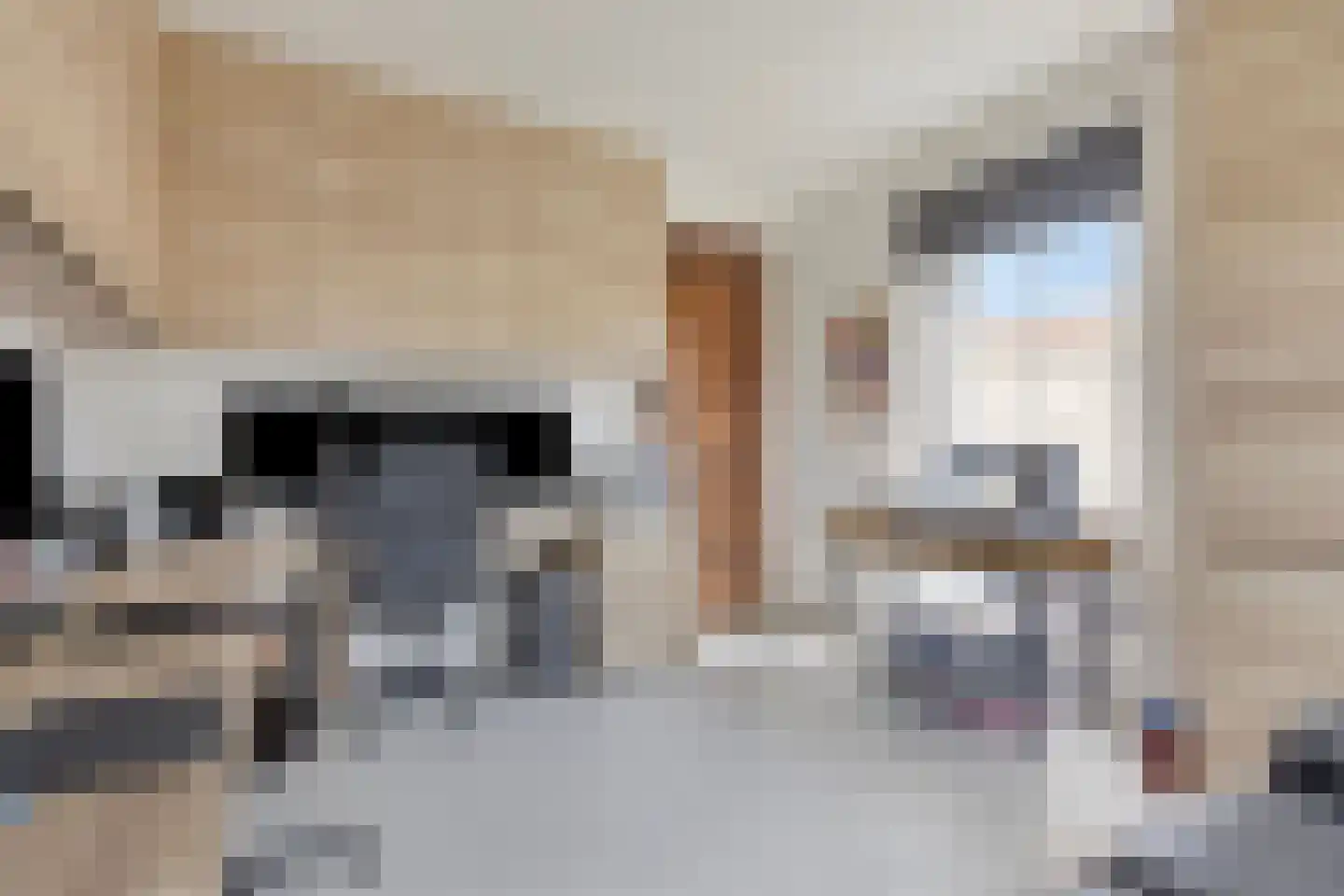 Leutherhoekweg 3630 Maasmechelen Stein thumbnail 17