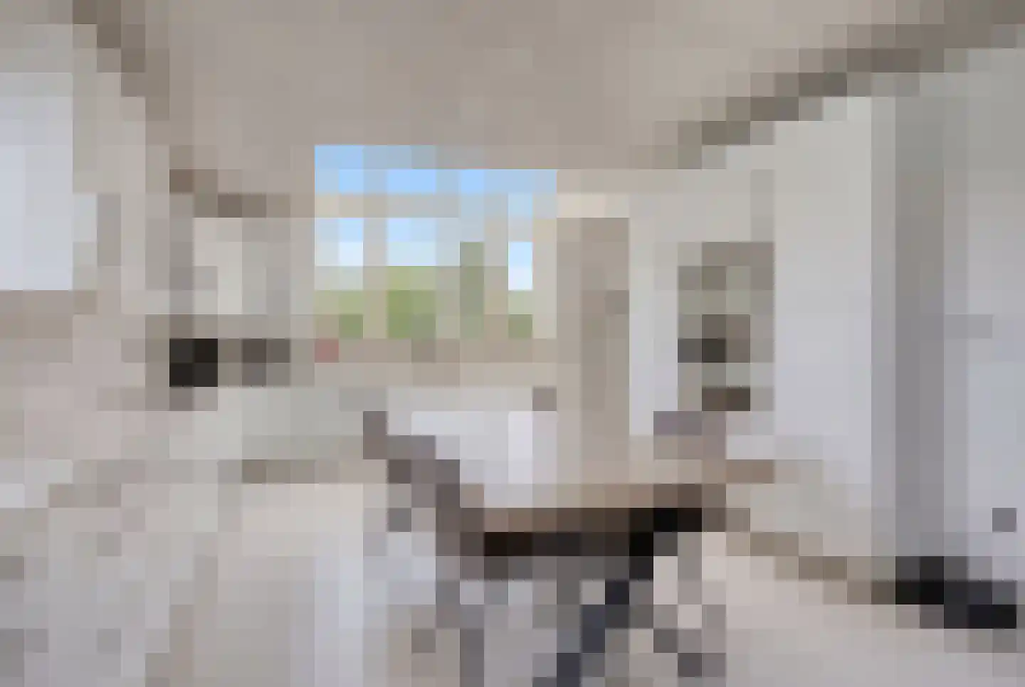 Leutherhoekweg 3630 Maasmechelen Stein thumbnail 18