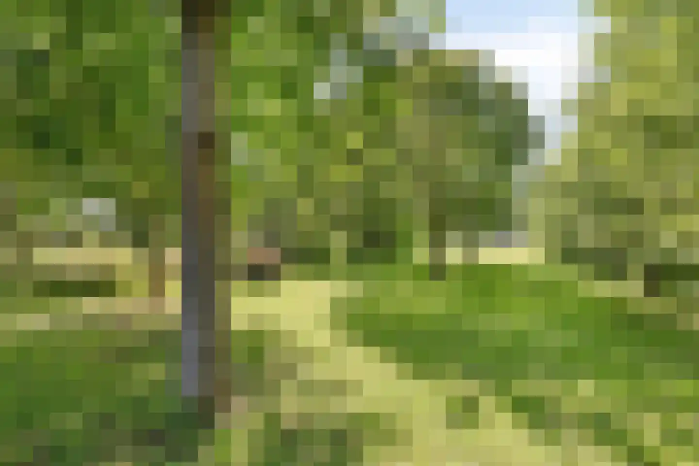 Leutherhoekweg 3630 Maasmechelen Stein thumbnail 4